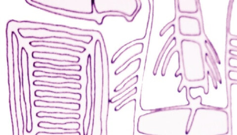 Move on: al via la Formazione per operatori/operatrici sociali contro la violenza sulle donne