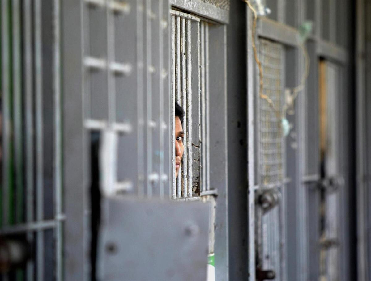 Area Educativa del carcere di Bologna: quali sono le opportunità che le persone detenute possono cogliere al suo interno