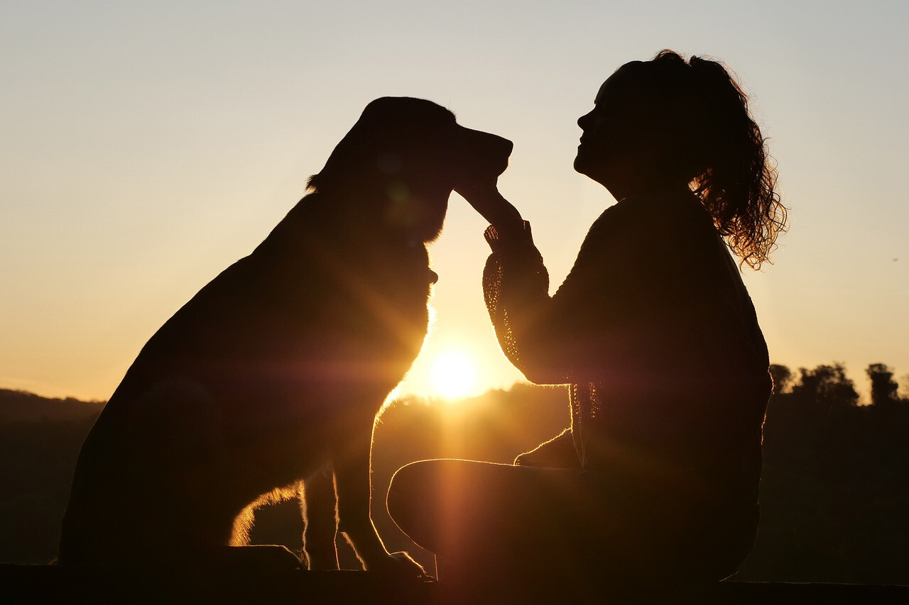Avviato il progetto di ASP "Animali Fantastici per il benessere di anziani e caregiver"