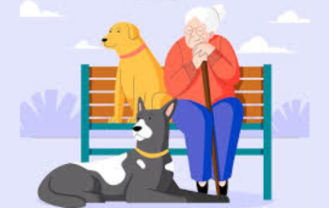 Animali Fantastici per il benessere degli anziani e dei caregiver