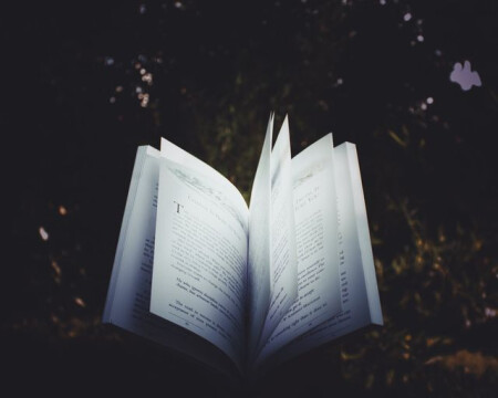  Biblioterapia: il progetto dedicato ai nuclei sinti per favorire il benessere della comunità
